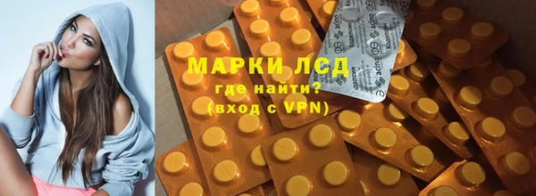 ECSTASY Алзамай