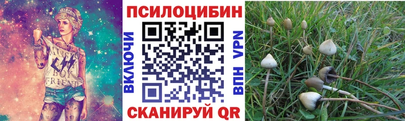 Галлюциногенные грибы мухоморы darknet состав Ессентукская blacksprut зеркало